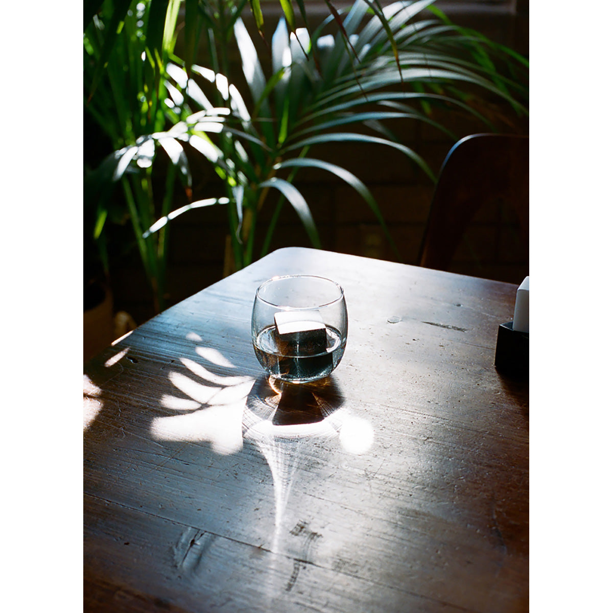 Areaware drink rock whiskey stone in glass on dark wood table surrounded by ferns