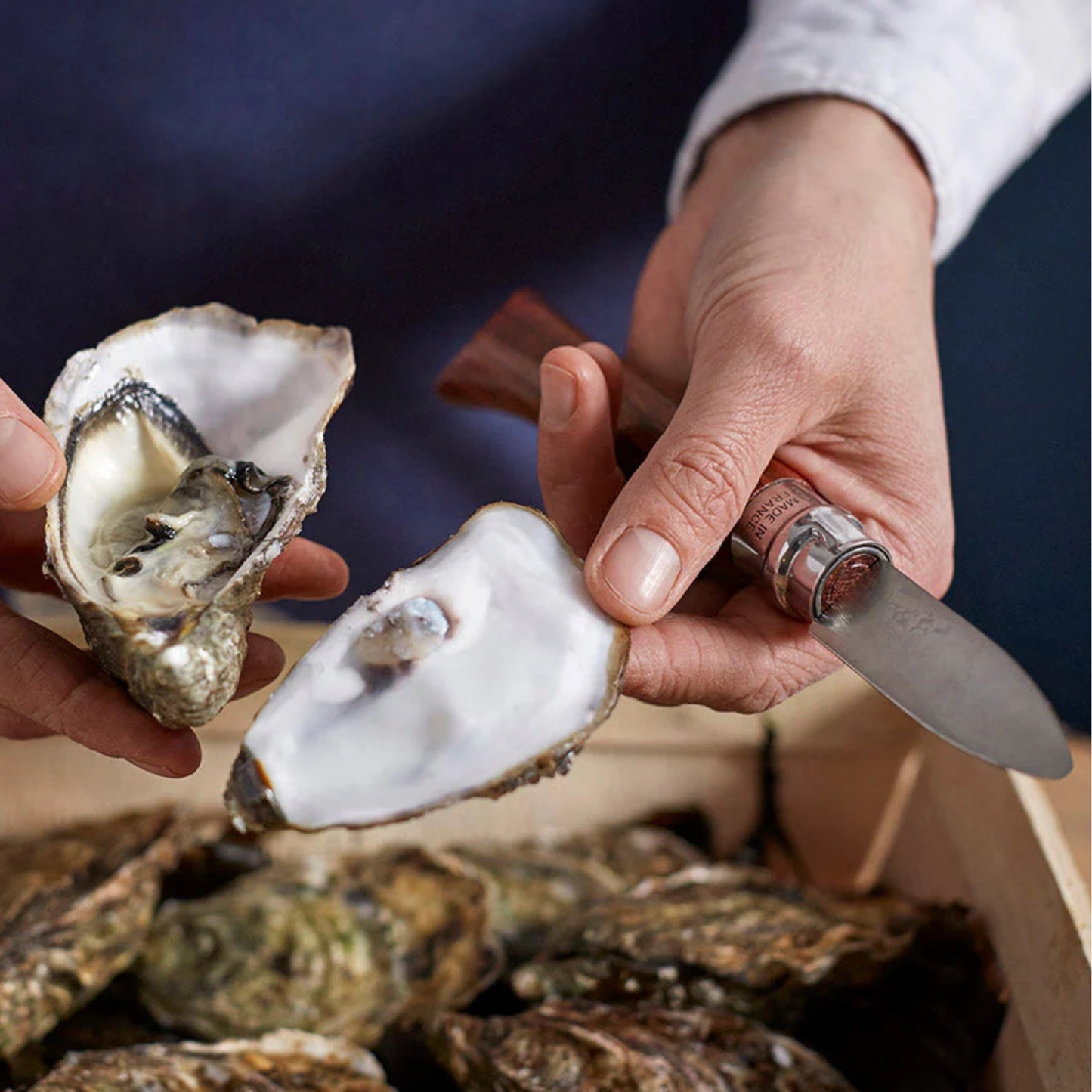 Man shucking oysters with Oyster & Shellfish Knife No9 SS