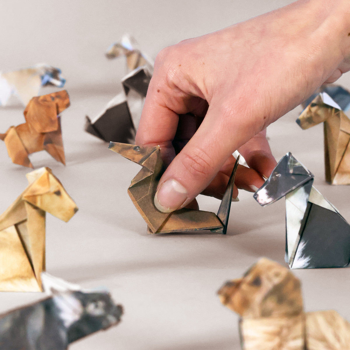 Dogs from Paper pups origami dog kit - FSC-paper fold-your-own canine set with 50 pre-printed double-sided origami sheets and instruction booklet, eco-friendly soy-ink printing, creates multiple breeds like Border Collie, Labrador, Dachshund, French Bulldog, Cavapoo, Springer Spaniel, Pug, Cavalier King Charles, and Yorkshire Terrier.