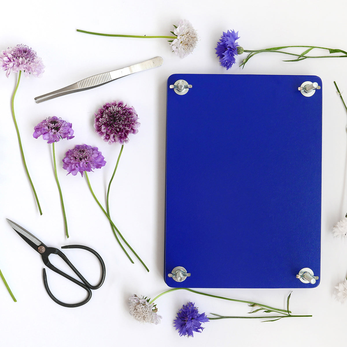 Printworks flower press kit box standing up on an angle with components in front on a white background