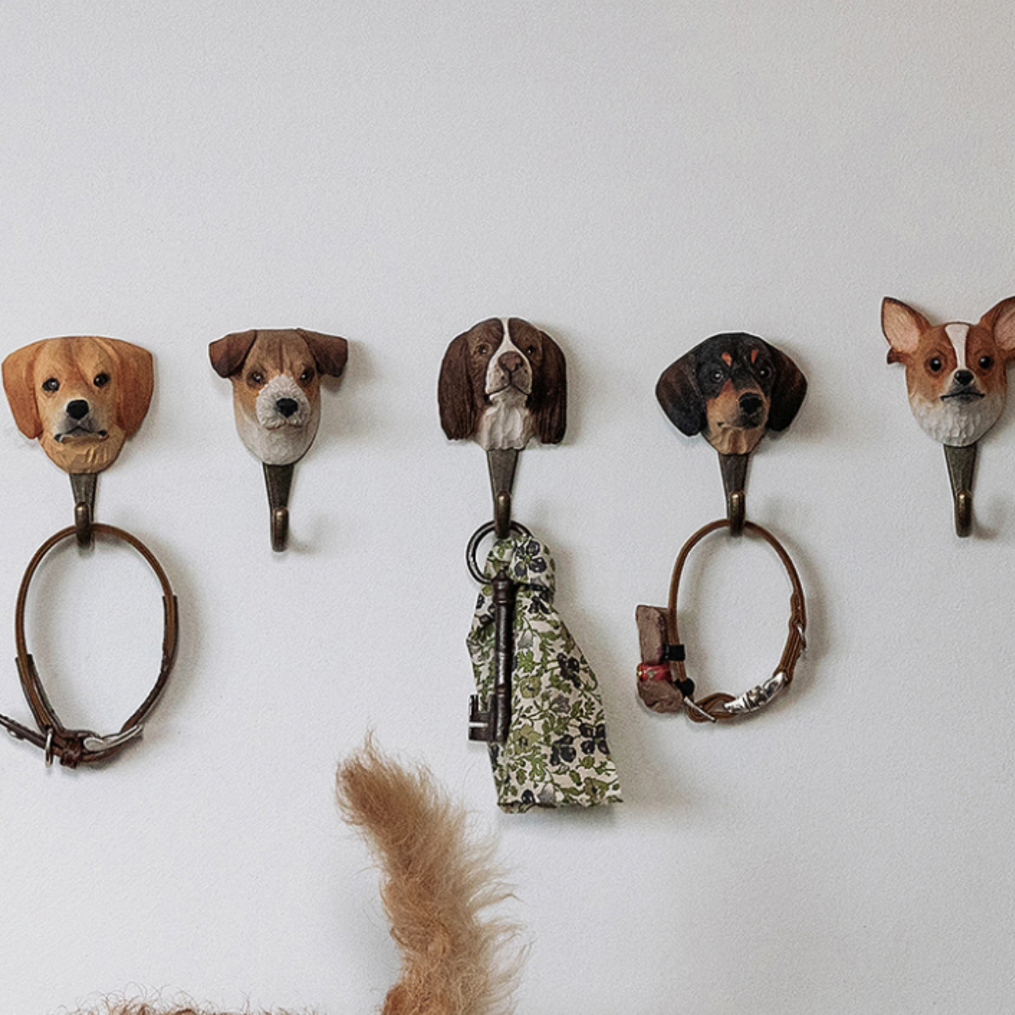 Wildlife Garden Wall Hook Dachshund on display hung on wall with other animal hooks from Wildlife Garden Wall Hook range