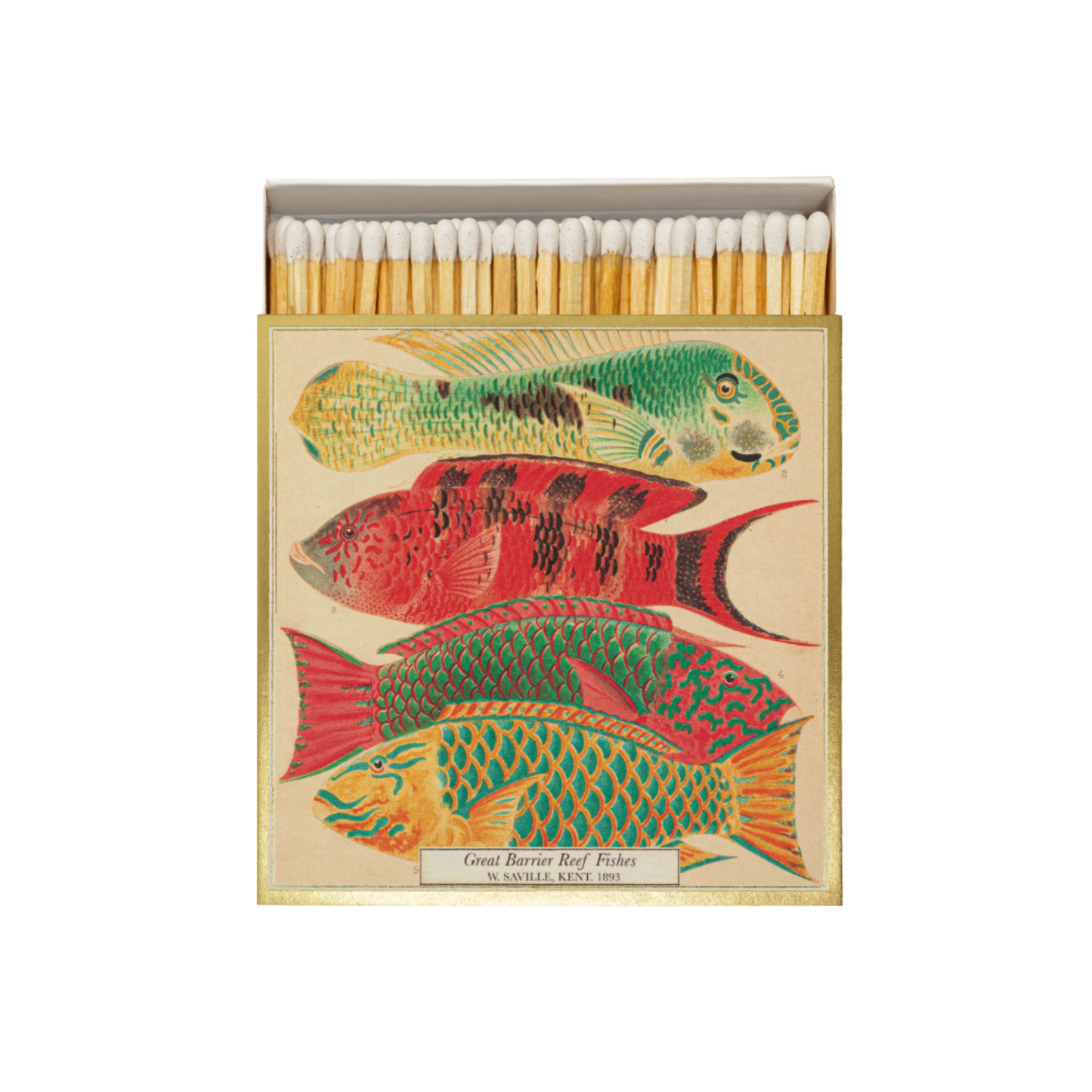 Luxury matches fish matches front view with matches poking out