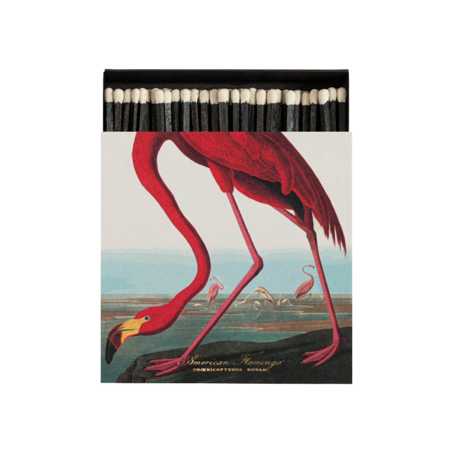 Luxury matches the american flamingo matches front view with matches poking out