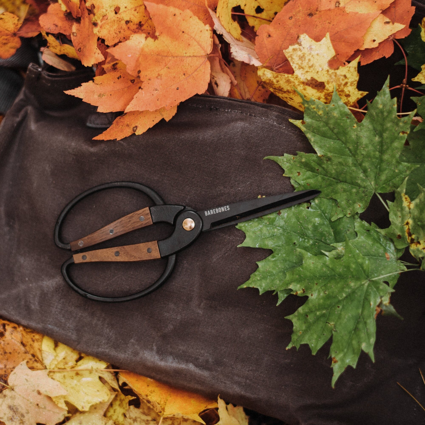 Barebones large walnut scissors outdoors amongst leaves and leather pouch