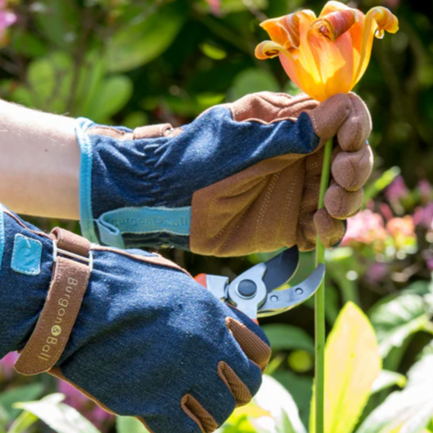 Man using denim gardening gloves and grooming flowers in garden