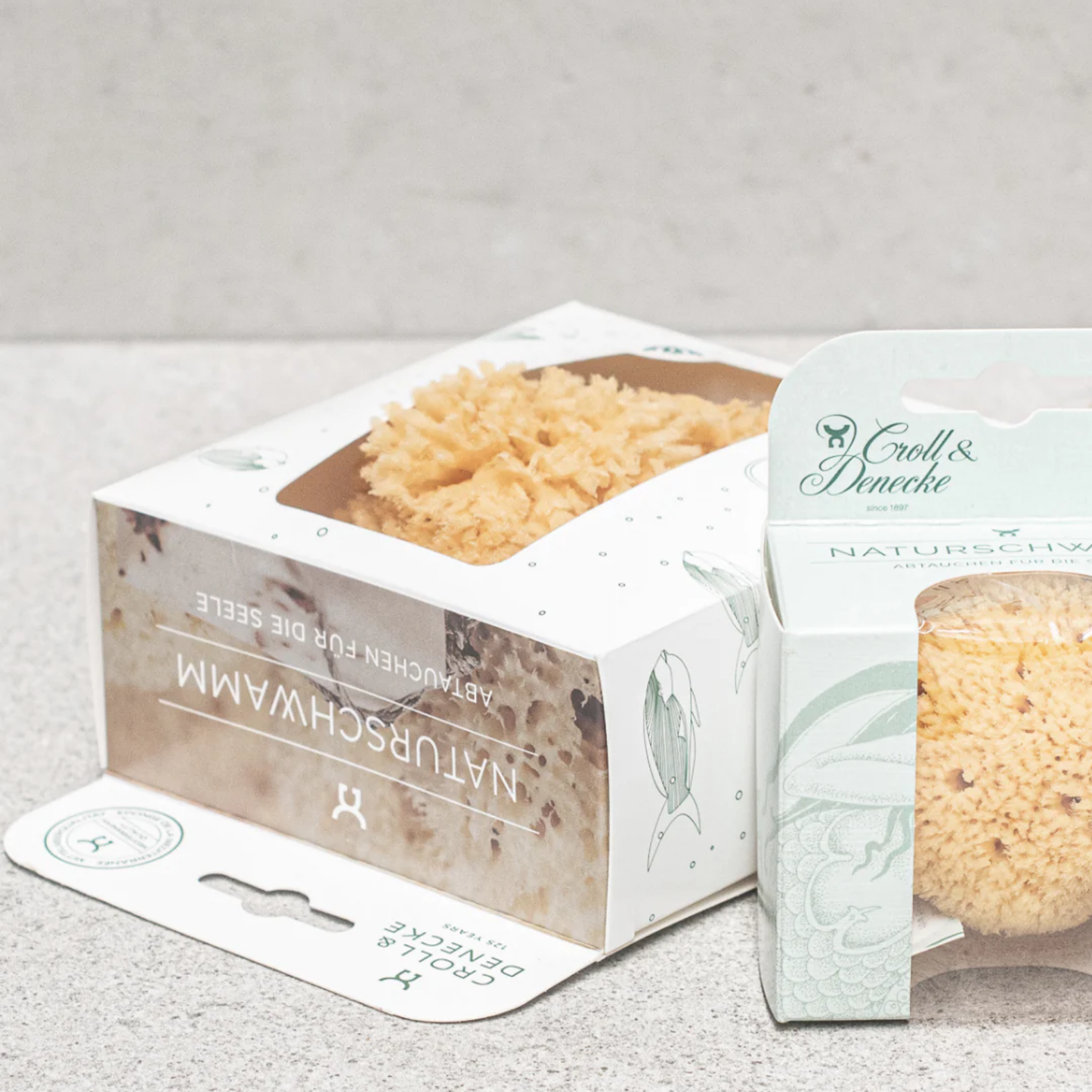 Croll and Denecke sponge in packaging box on concrete table with other sponges.