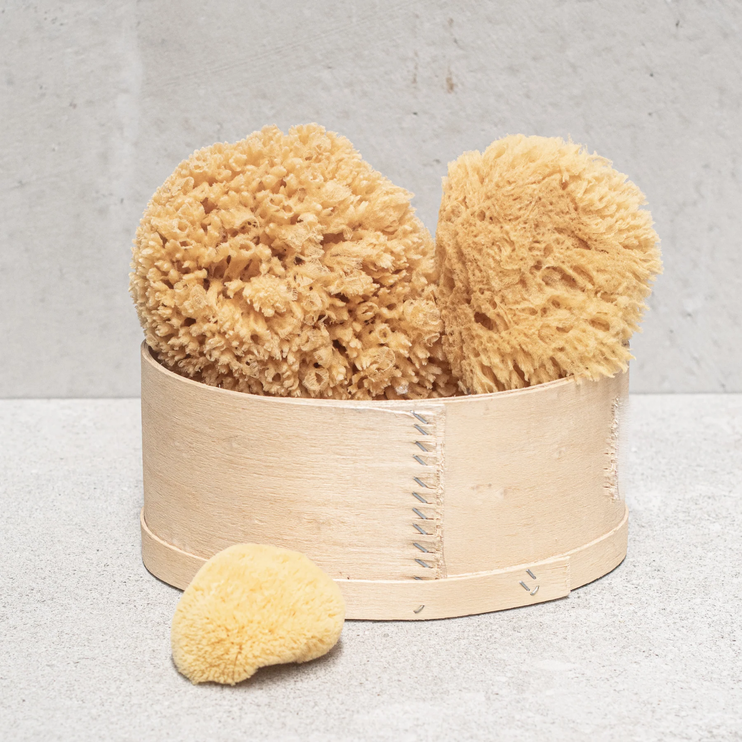 Croll and Denecke sponge on concrete table with other sponges in wooden basket