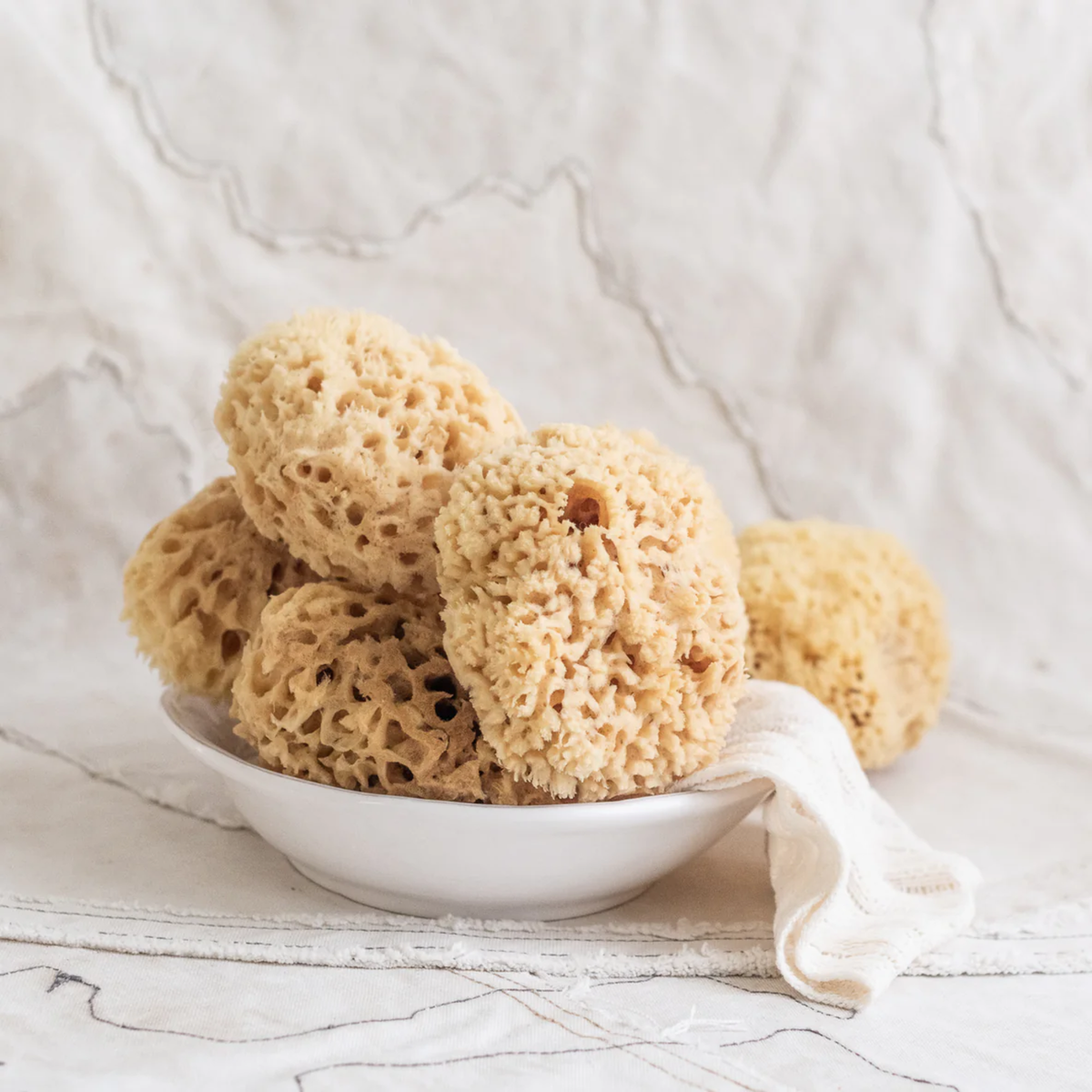 Fathom Medium Sea Sponge, 100% natural, sustainably harvested Mediterranean sponge, eco-friendly, sold individually.