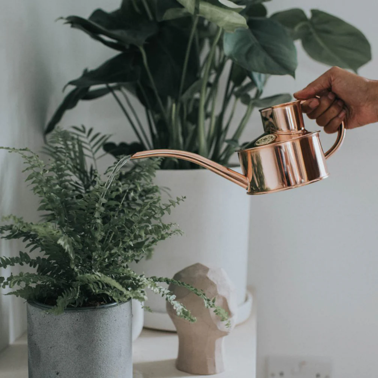 Woman using Haws watering can Fazeley flow copper one pint side view watering plants