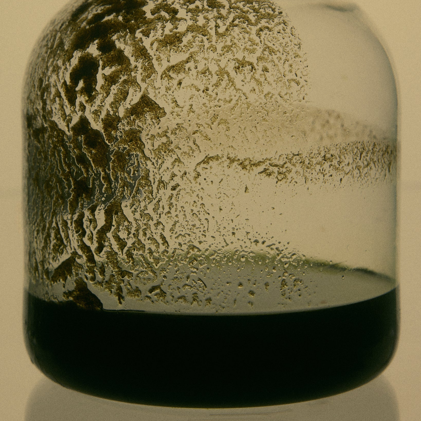 Showing the liquid ingredient with some forming like a wax for Herb Remedy Comfrey Balm - Deep tissue healing and skin regeneration balm made from comfrey-infused olive oil - Enriched with peppermint and rosemary essential oils for soothing, cooling, and anti-inflammatory relief - Ideal for bruises, sprains, strains, and muscle soreness - Natural herbal balm promoting tissue repair and faster recovery