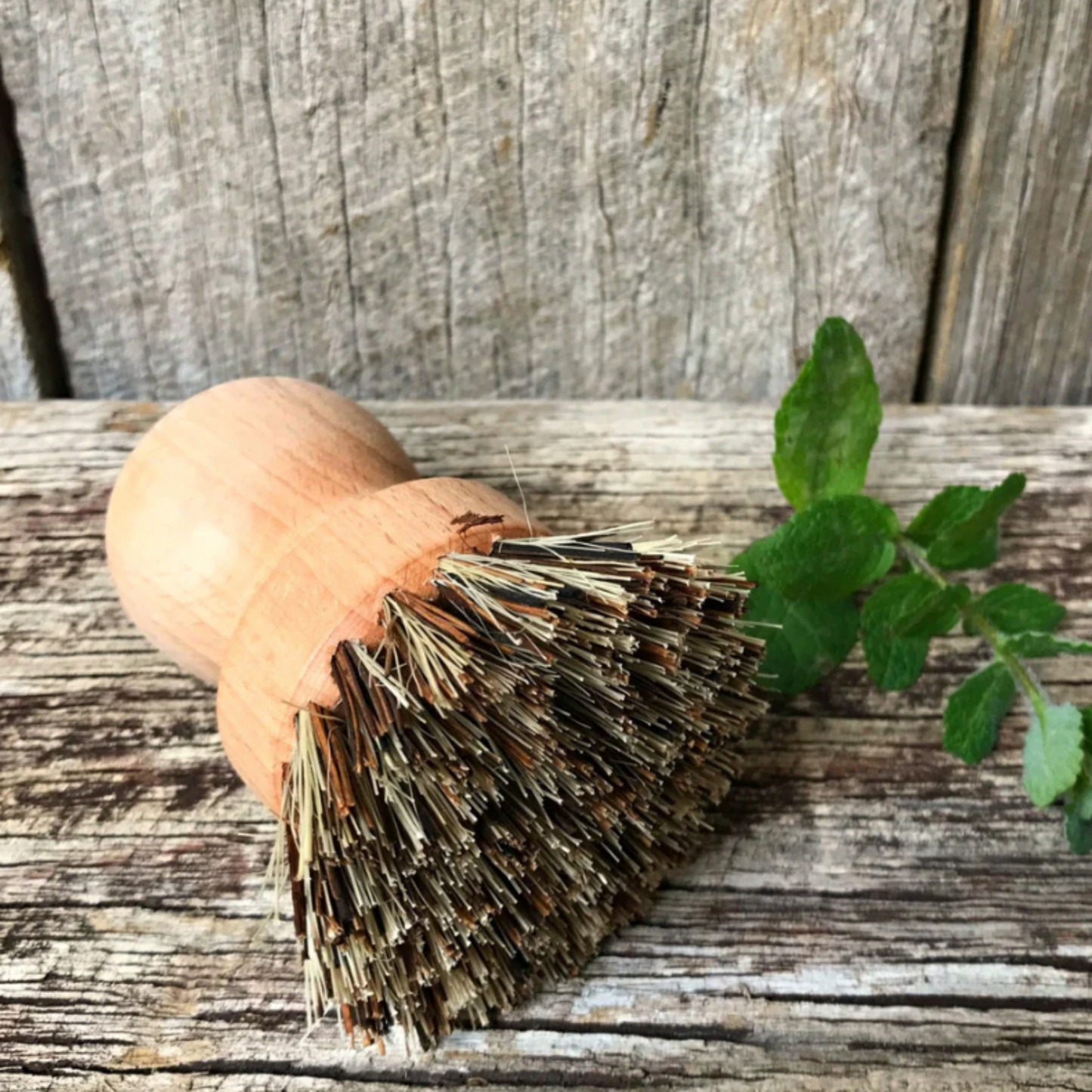 Redecker bresser pot brush front view