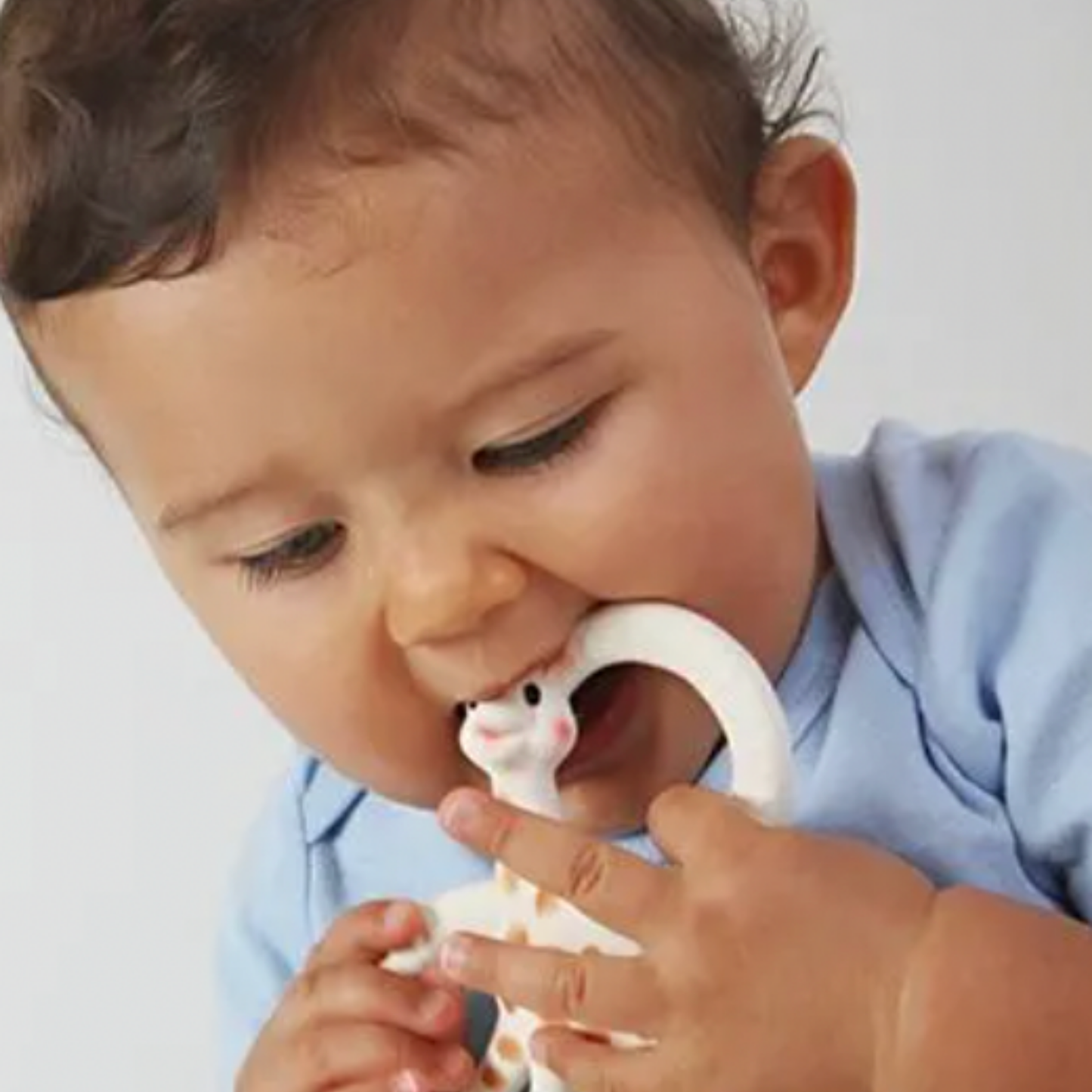 Baby chewing on Sophie La Girafe teething ring close up
