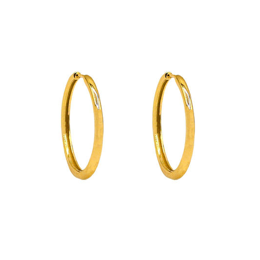 AEC Paris Ananya Gold earrings on white background