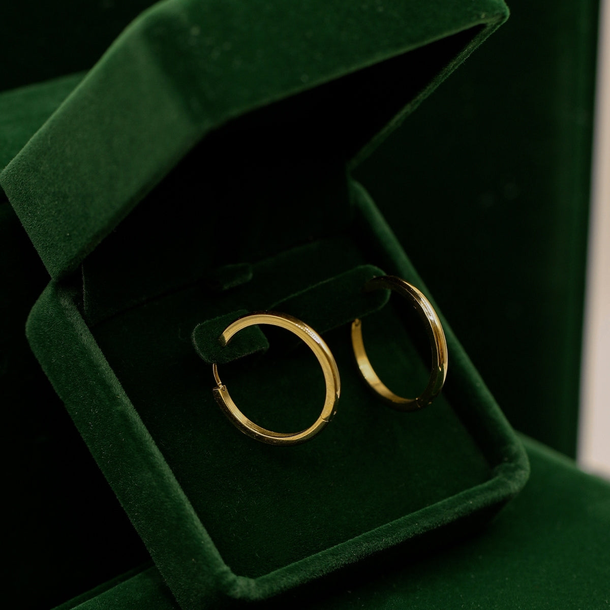 AEC Paris Ananya Gold earrings in green velvet box