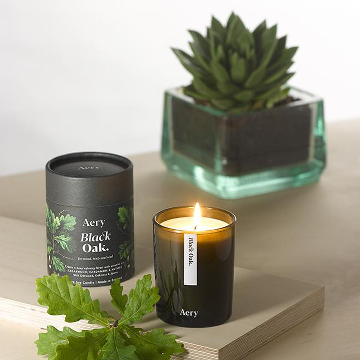 Aery Black oak 200gm lit candle from the Botanical Green Collection showing candle and packaging on wooden plinth with succulent