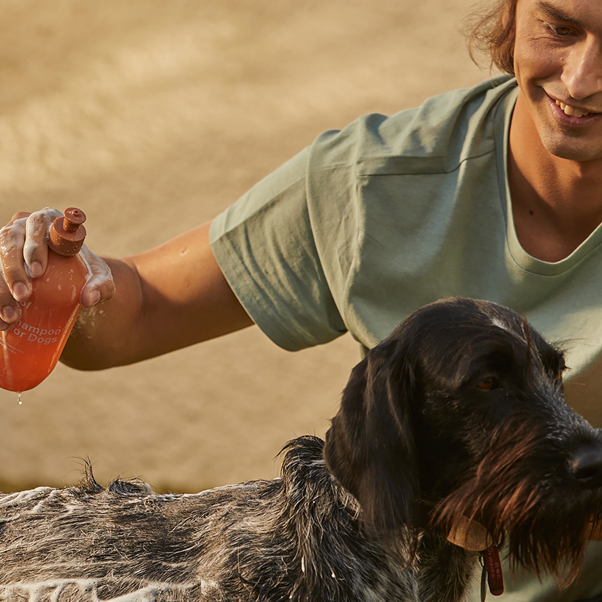 A dog being washed with Ashley and Co 'Awoof Wash' dog wash.