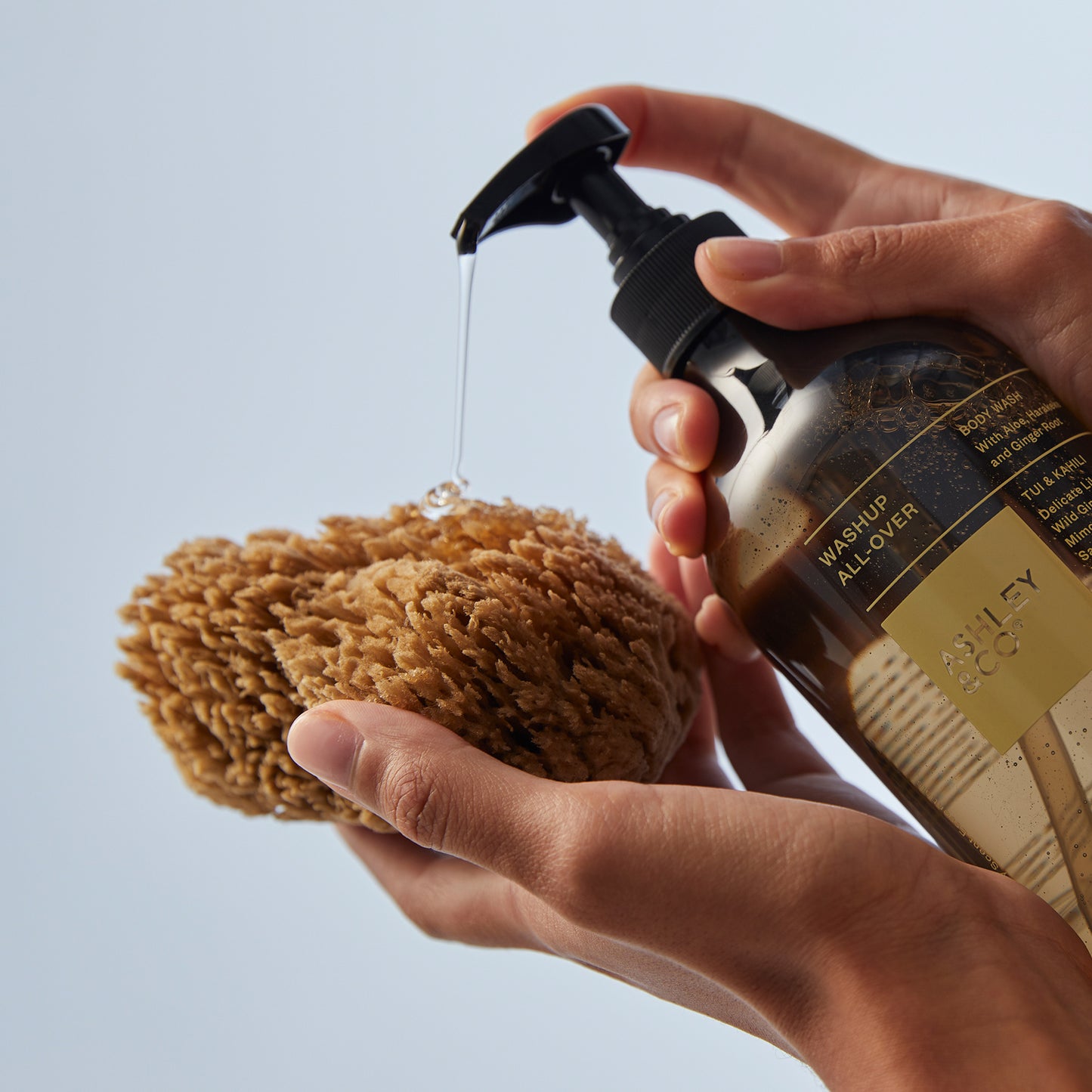 Ashley and Co 'Washup All Over' body wash in tui and kahili fragrance being pumped onto a natural bath sponge.