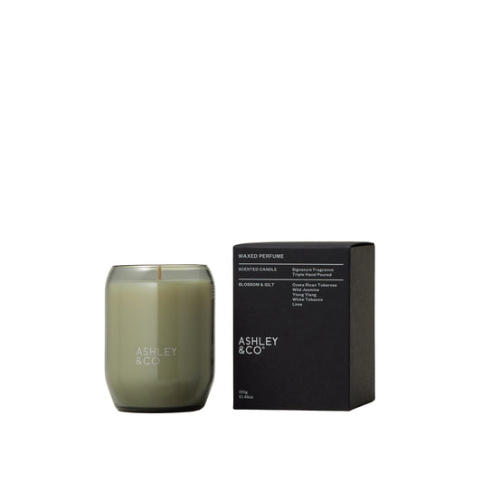 Ashley and Co 'Waxed Perfume' scented candle in blossom and gilt fragrance.