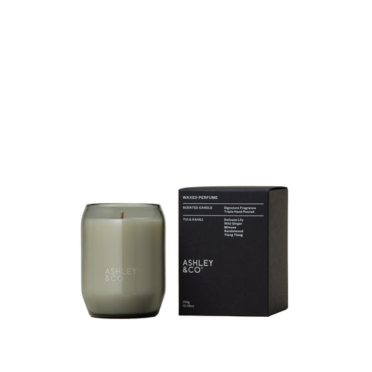 Ashley and Co 'Waxed Perfume' scented candle in tui and kahili fragrance.