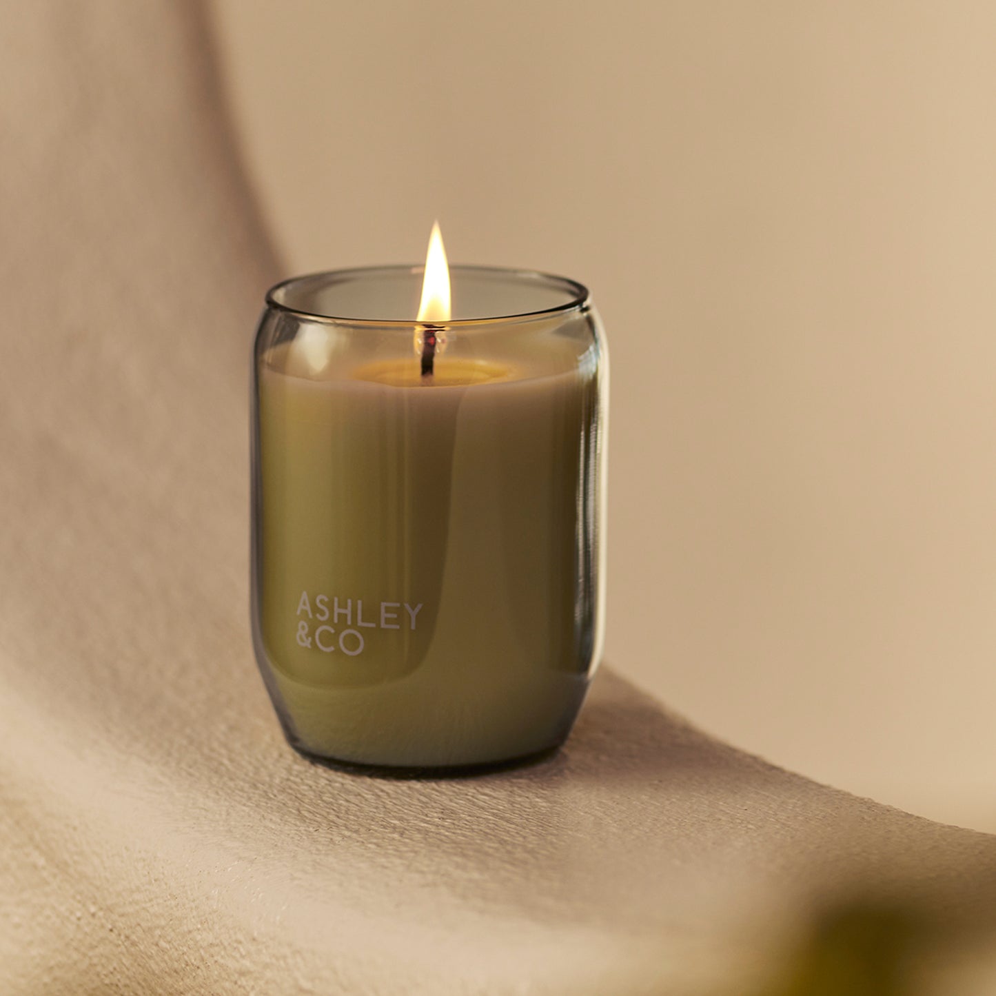 Ashley and Co 'Waxed Perfume' scented candle in tui and kahili fragrance on a counter.