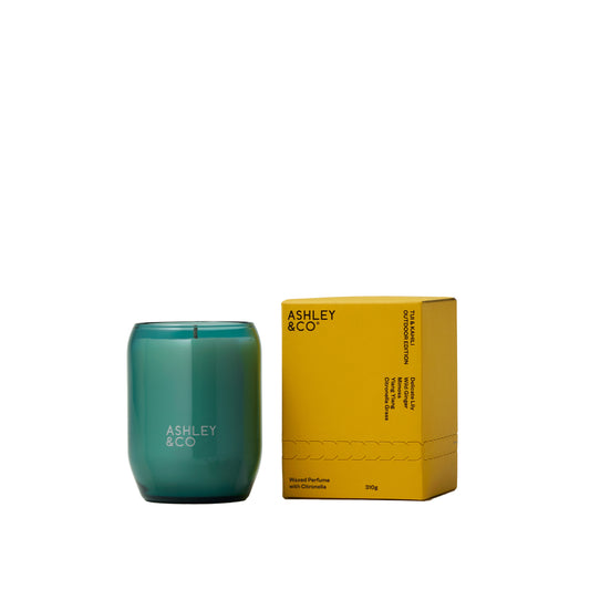 Ashley and Co 'Waxed Perfume - Outdoor Edition' scented candle in tui and kahili fragrance.
