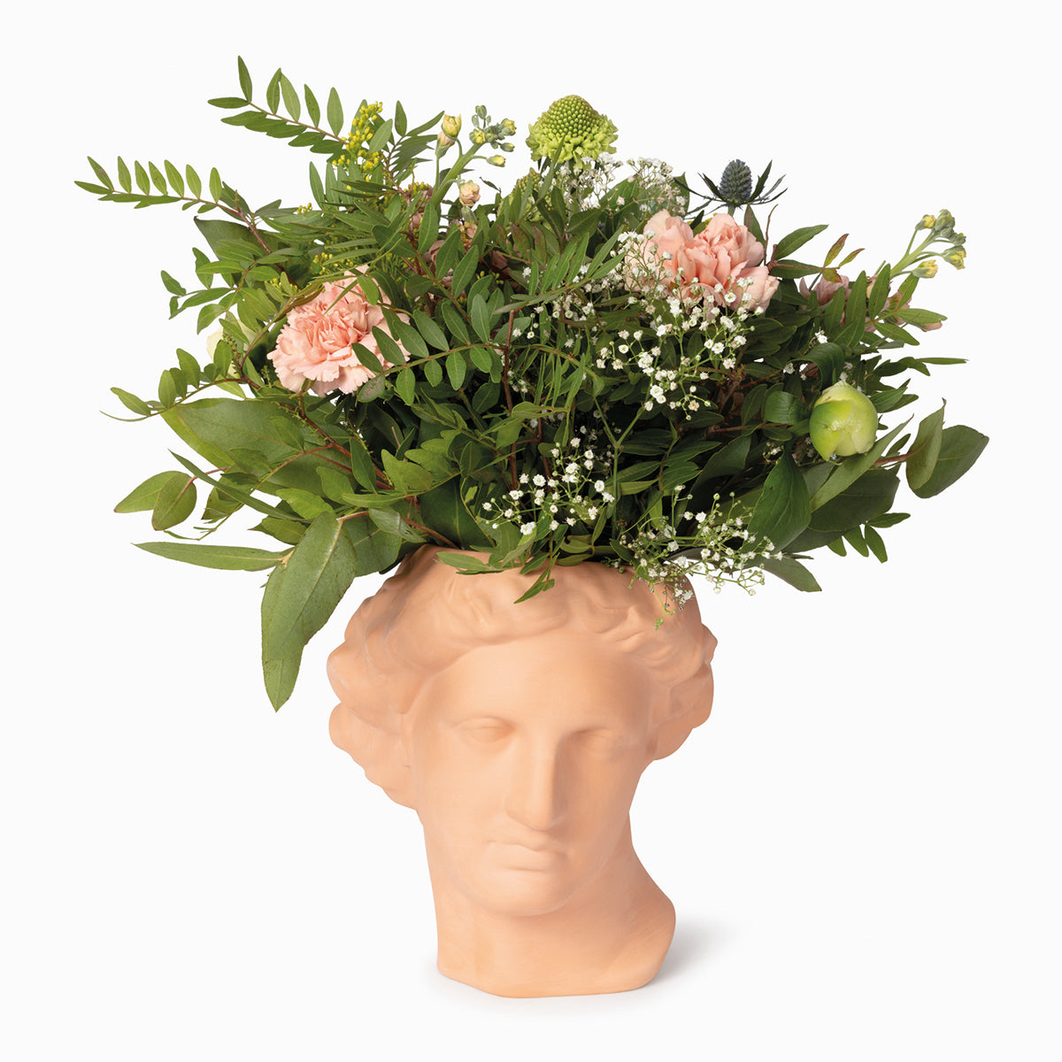 Doiy greek series apollo vase terracotta with green leaves and pink flowers on white background 