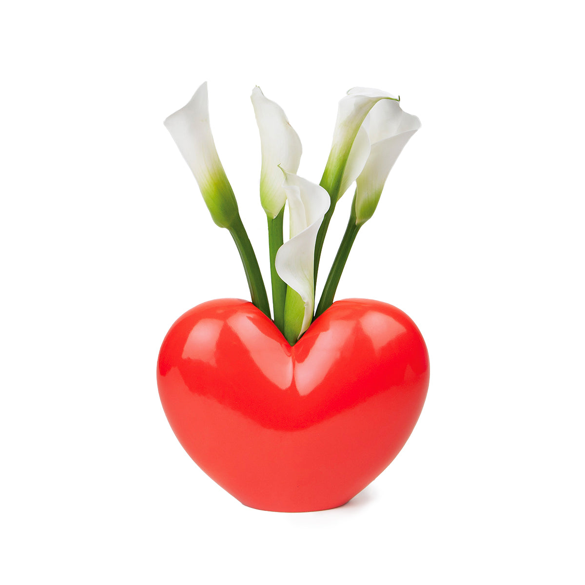 Close up of red ceramic DOIY love vase filled with white cala lillies on white background