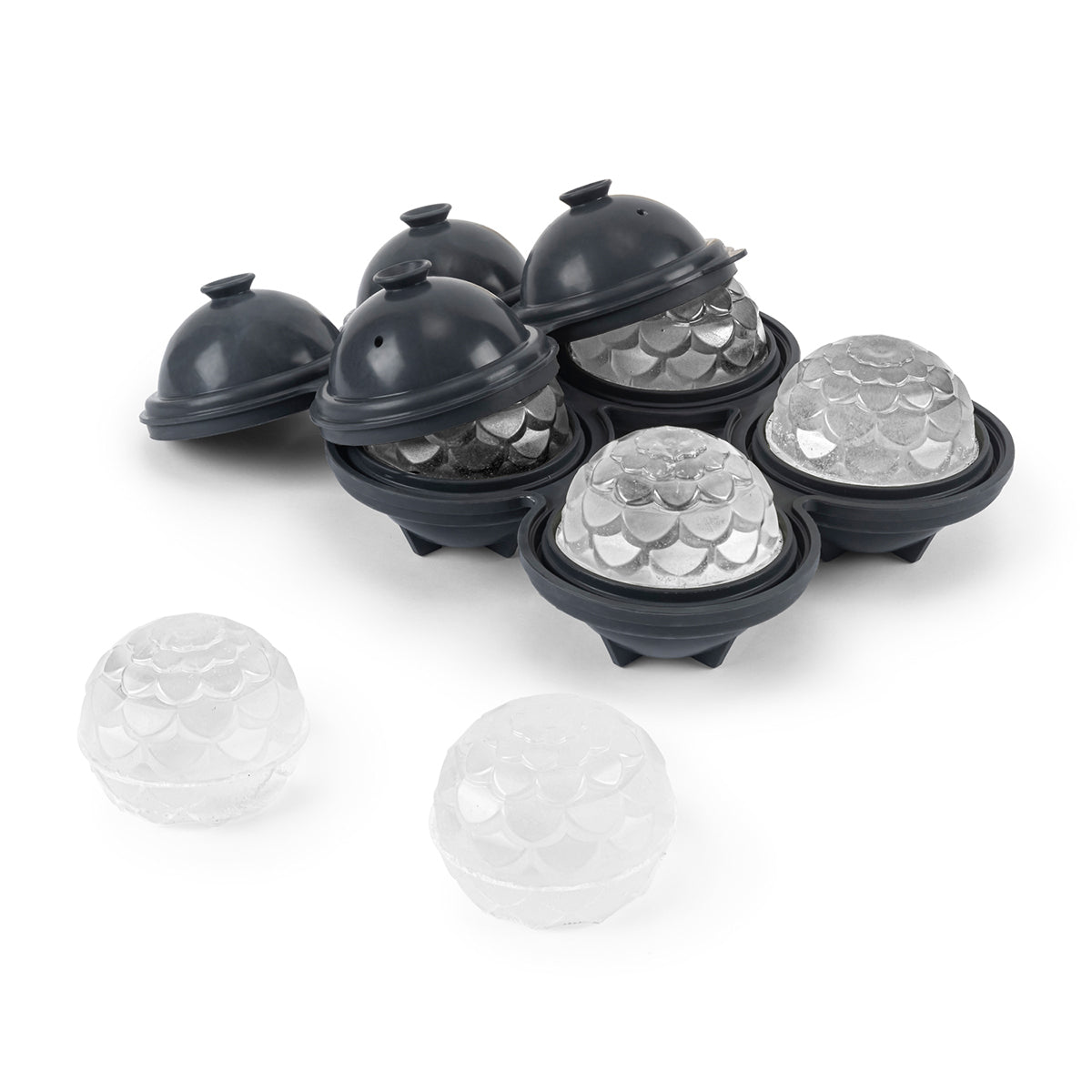WP charcoal petal cocktail ice cubes inside mould and outside on white background