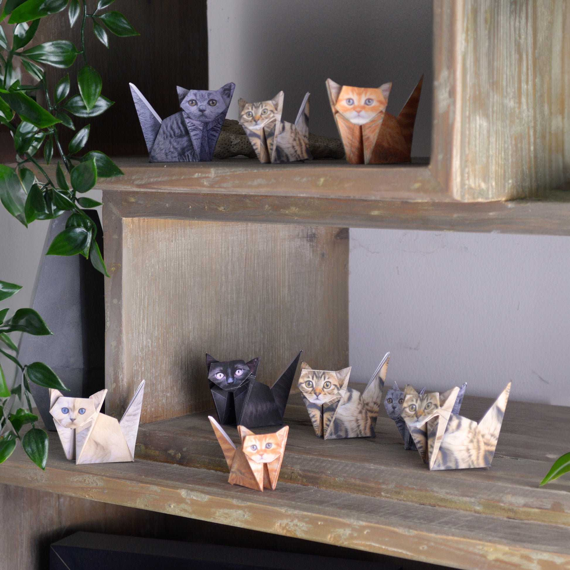 Different paper cats on a rack from Paper Cats origami kit - foldable multi-color FSC paper set featuring 50 cat and kitten designs, eco-friendly paper material with soy-based printing, includes step-by-step instructions for creating assorted life-like paper cats.