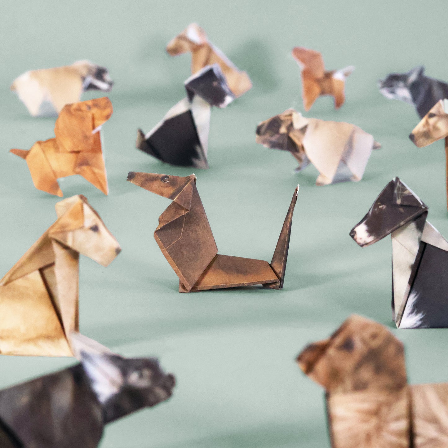 Paper pups origami dog kit - FSC-paper fold-your-own canine set with 50 pre-printed double-sided origami sheets and instruction booklet, eco-friendly soy-ink printing, creates multiple breeds like Border Collie, Labrador, Dachshund, French Bulldog, Cavapoo, Springer Spaniel, Pug, Cavalier King Charles, and Yorkshire Terrier.