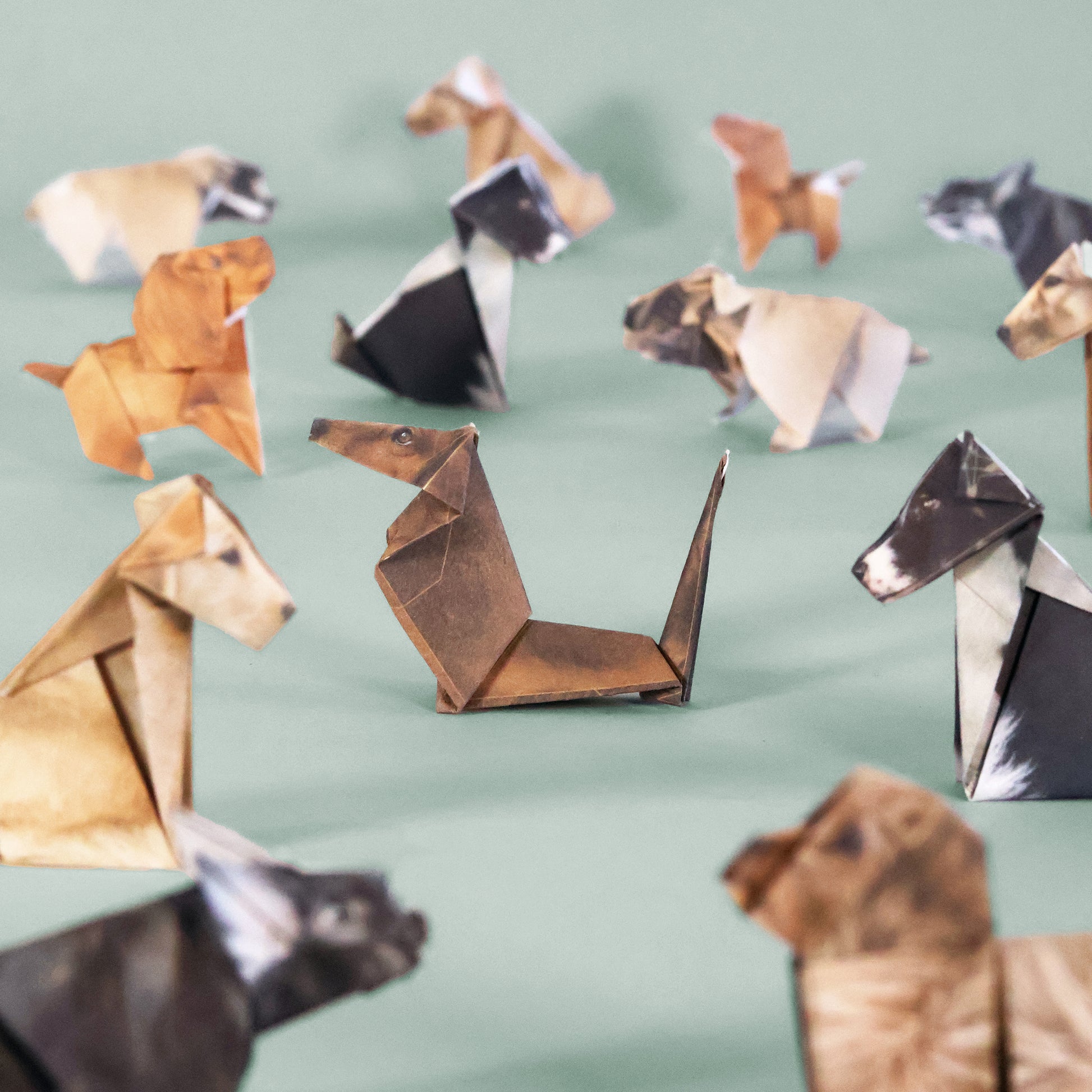 Paper pups origami dog kit - FSC-paper fold-your-own canine set with 50 pre-printed double-sided origami sheets and instruction booklet, eco-friendly soy-ink printing, creates multiple breeds like Border Collie, Labrador, Dachshund, French Bulldog, Cavapoo, Springer Spaniel, Pug, Cavalier King Charles, and Yorkshire Terrier.