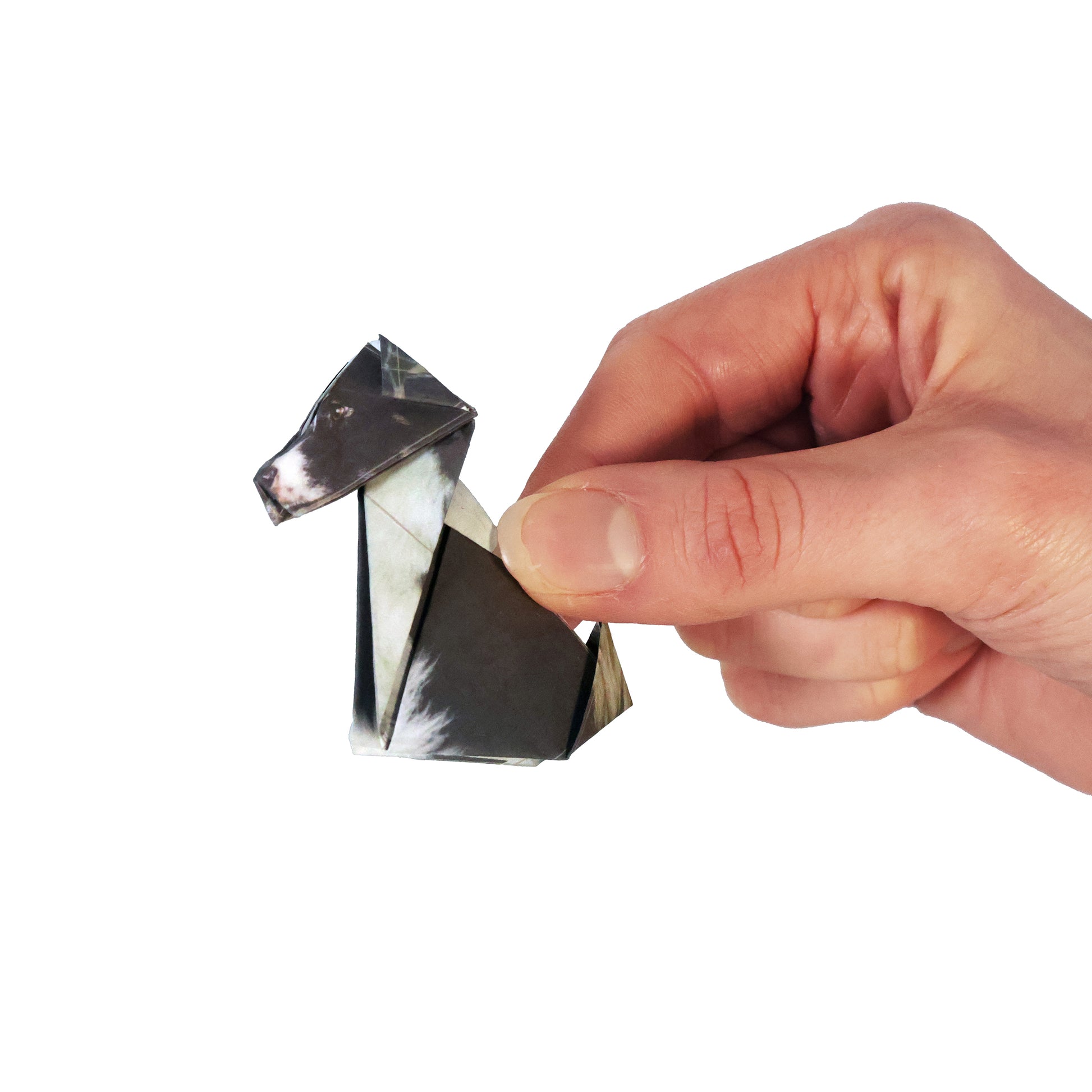 Border Collie paper pup origami from Paper pups origami dog kit - FSC-paper fold-your-own canine set with 50 pre-printed double-sided origami sheets and instruction booklet, eco-friendly soy-ink printing, creates multiple breeds like Border Collie, Labrador, Dachshund, French Bulldog, Cavapoo, Springer Spaniel, Pug, Cavalier King Charles, and Yorkshire Terrier.