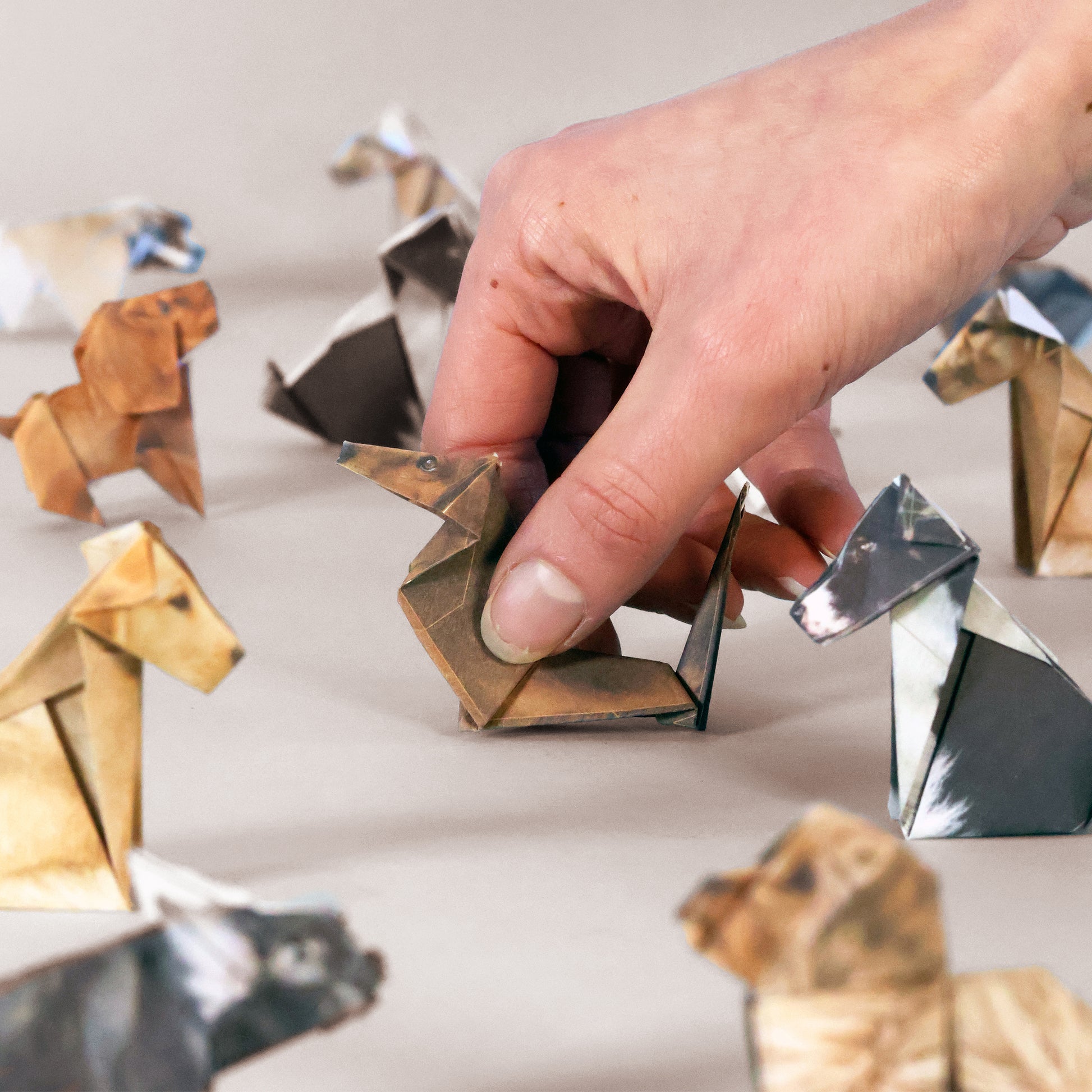 Dogs from Paper pups origami dog kit - FSC-paper fold-your-own canine set with 50 pre-printed double-sided origami sheets and instruction booklet, eco-friendly soy-ink printing, creates multiple breeds like Border Collie, Labrador, Dachshund, French Bulldog, Cavapoo, Springer Spaniel, Pug, Cavalier King Charles, and Yorkshire Terrier.