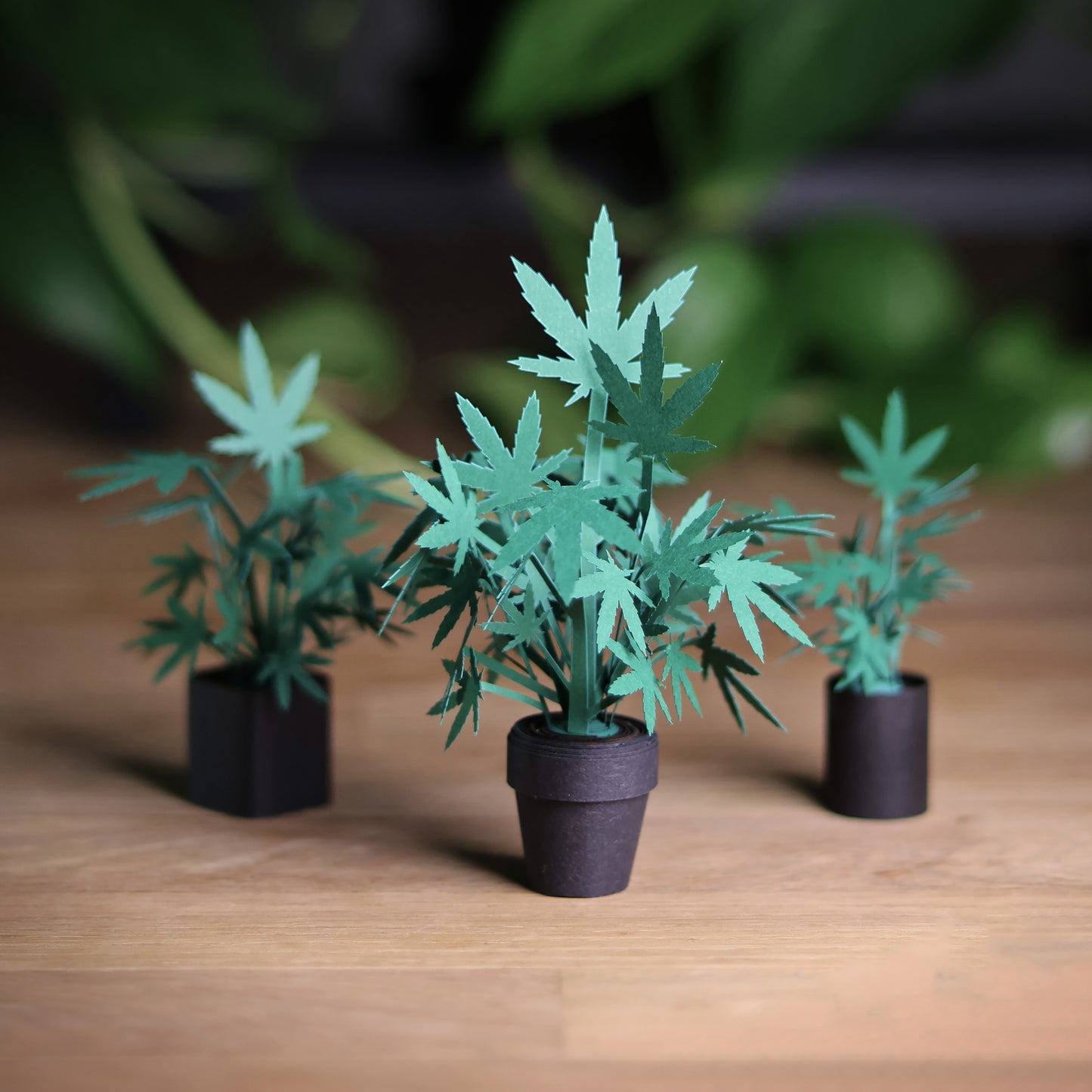 Three paper marijuana plant from Pikkii Roll Your Own Weed Plants paper craft kit - premium FSC-paper DIY kit with pre-cut sheets for creating three paper marijuana plants, plastic-free packaging, soy-ink printing, 140×260×5 mm size, includes step-by-step instructions.