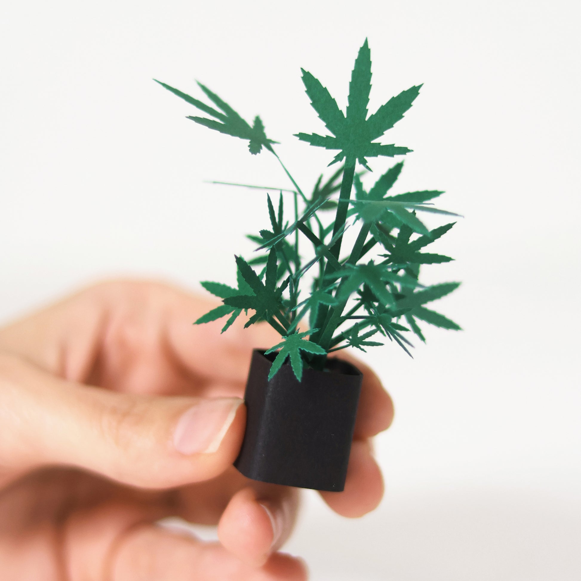 Showing one paper marijuana planf from Pikkii Roll Your Own Weed Plants paper craft kit - premium FSC-paper DIY kit with pre-cut sheets for creating three paper marijuana plants, plastic-free packaging, soy-ink printing, 140×260×5 mm size, includes step-by-step instructions.