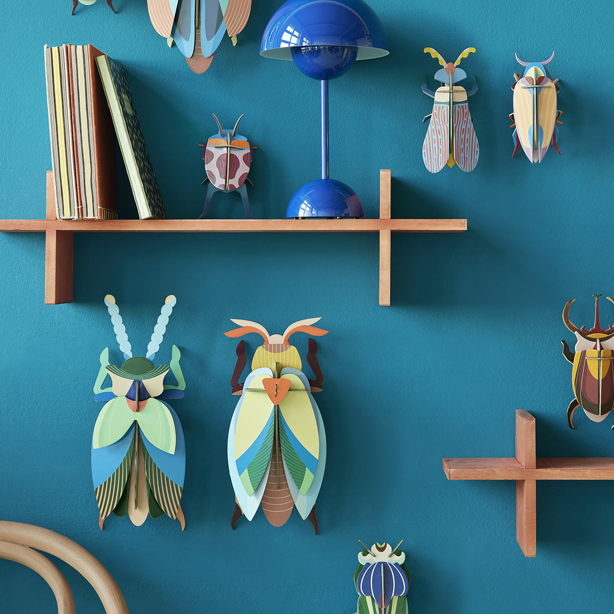 Studio Roof A4 lunar jewel beetle wall art on an aqua wall below a wooden shelf with books and a blue lamp 