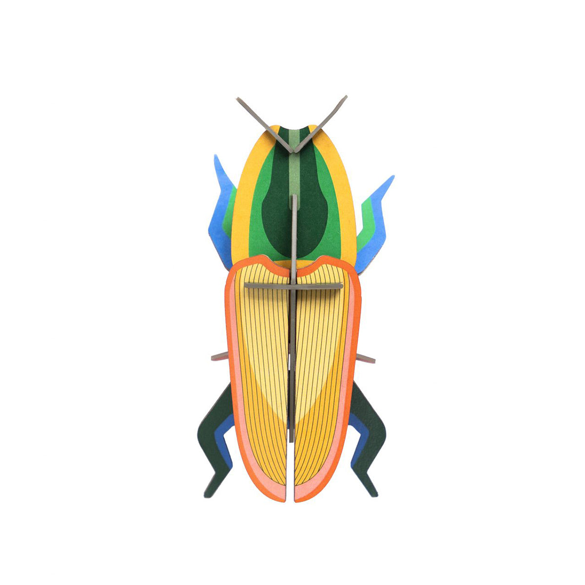 Studio Roof B7 madagascar beetle wall art on a white background