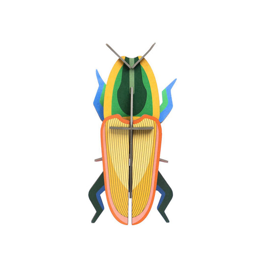 Studio Roof B7 madagascar beetle wall art on a white background