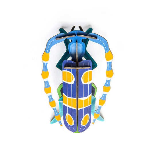 Wall Art Beetles (B7) Rosalia Beetle