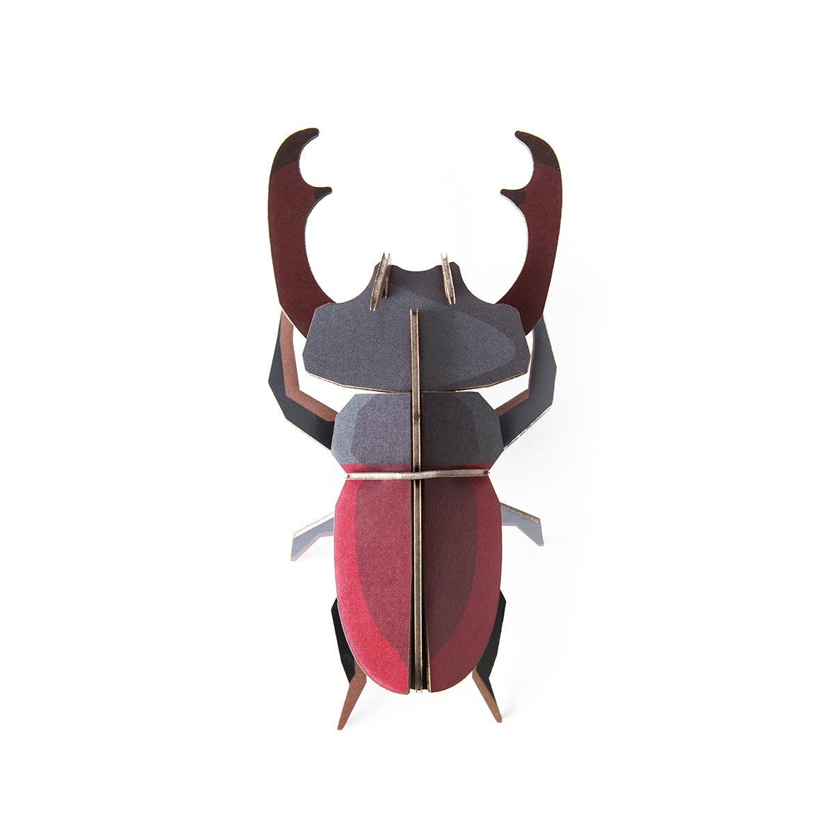 Studio Roof B7 stag beetle wall art on a white background