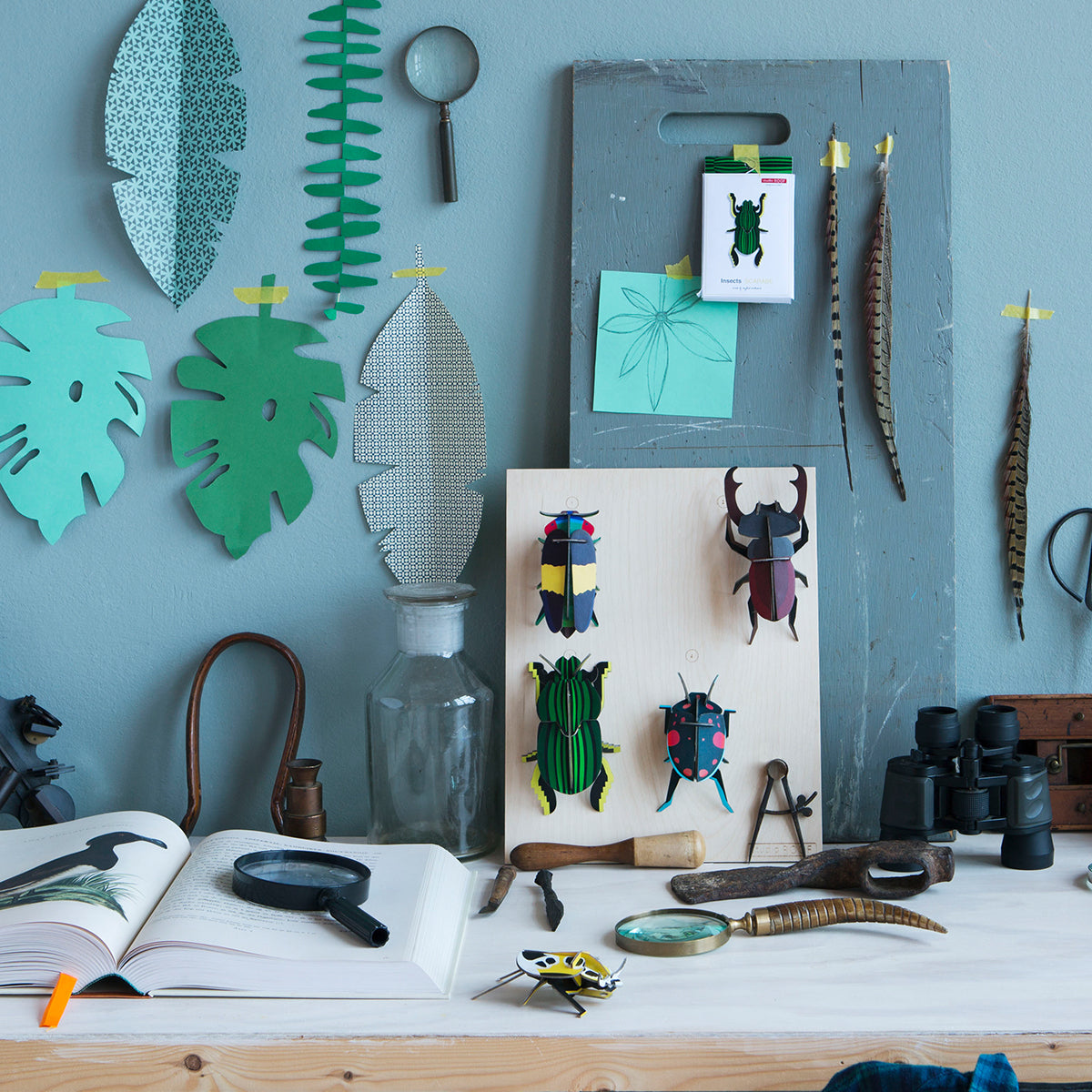 Studio Roof B7 stag beetle wall art and other beetles mounted on a board leaning on a desk with leaves on the blue wall