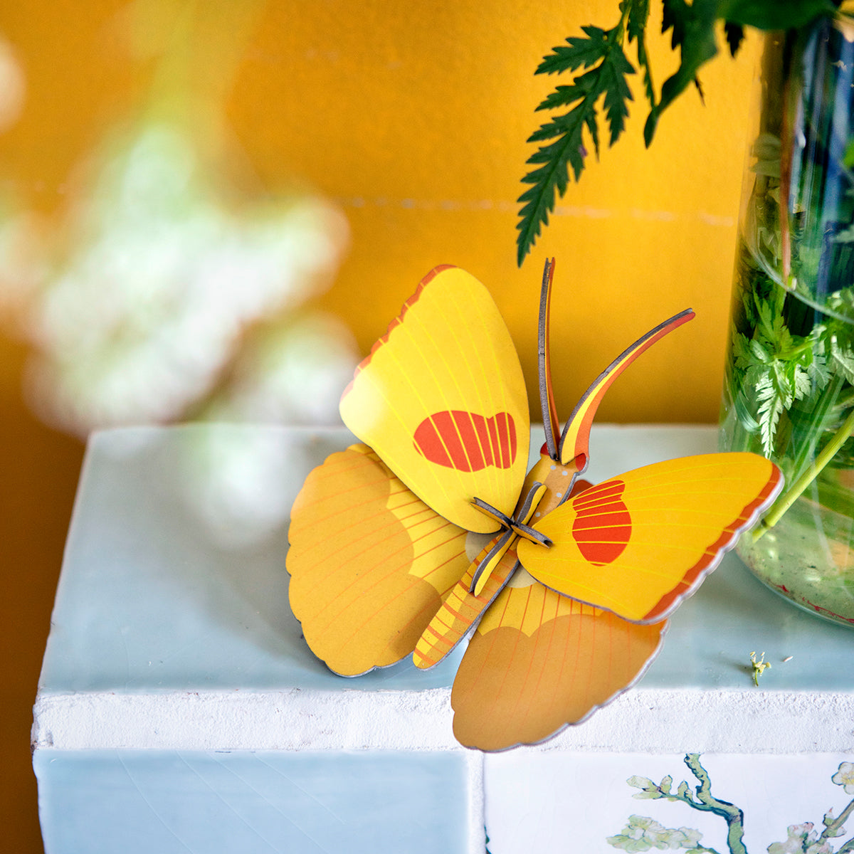 Studio Roof B7 yellow butterfly wall art on white box next to green fern in front of bright yellow wall