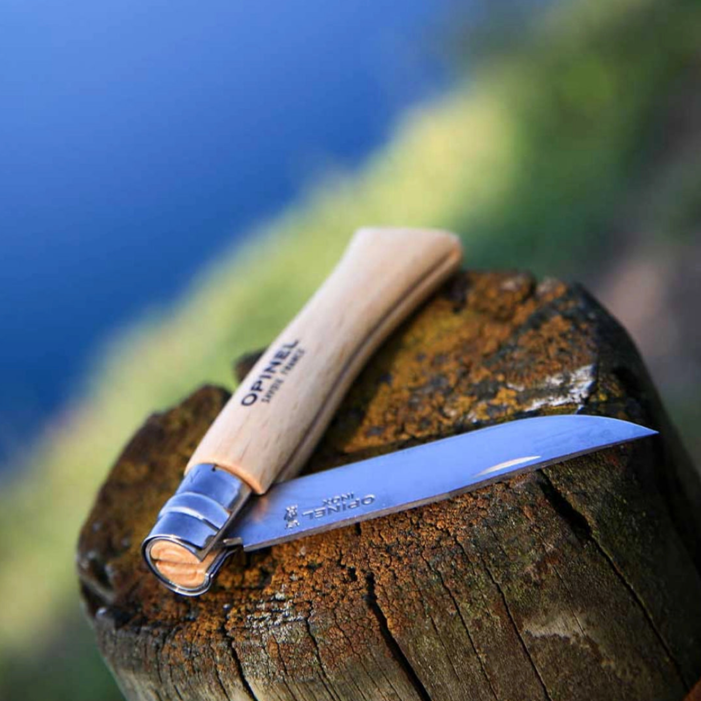 Opinel Traditional Folding Knife No10 Carbon Steel Beech outdoors on log half folded