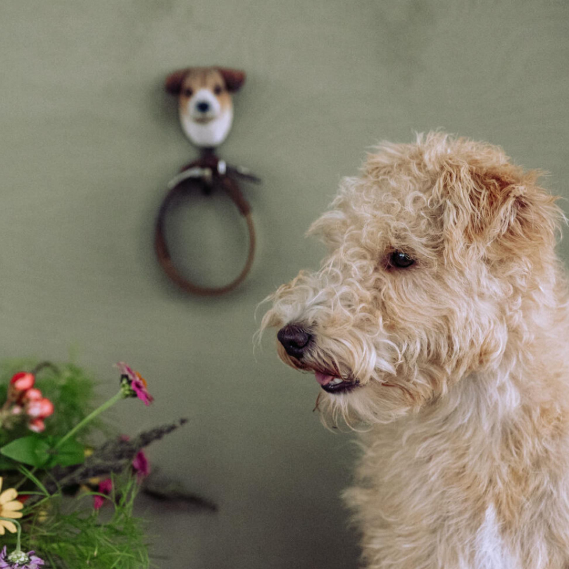 Wildlife Garden Wall Hook Jack Russell in bacground holding dog collar with dog and flowers in the foreground