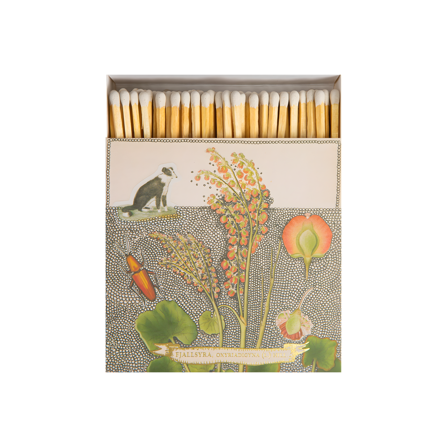 Front view and open Archivist Luxury Matches Chien Botanical Drawing which features a green and orange floral illustration with a collie dog and gold foil detail by Florence Balducci. Contains 125 matches (100 mm, white tips). Litho printed in the UK with FSC-certified wood and wrapped in compostable cello-ideal for coffee tables, mantelpieces, or gifting.
