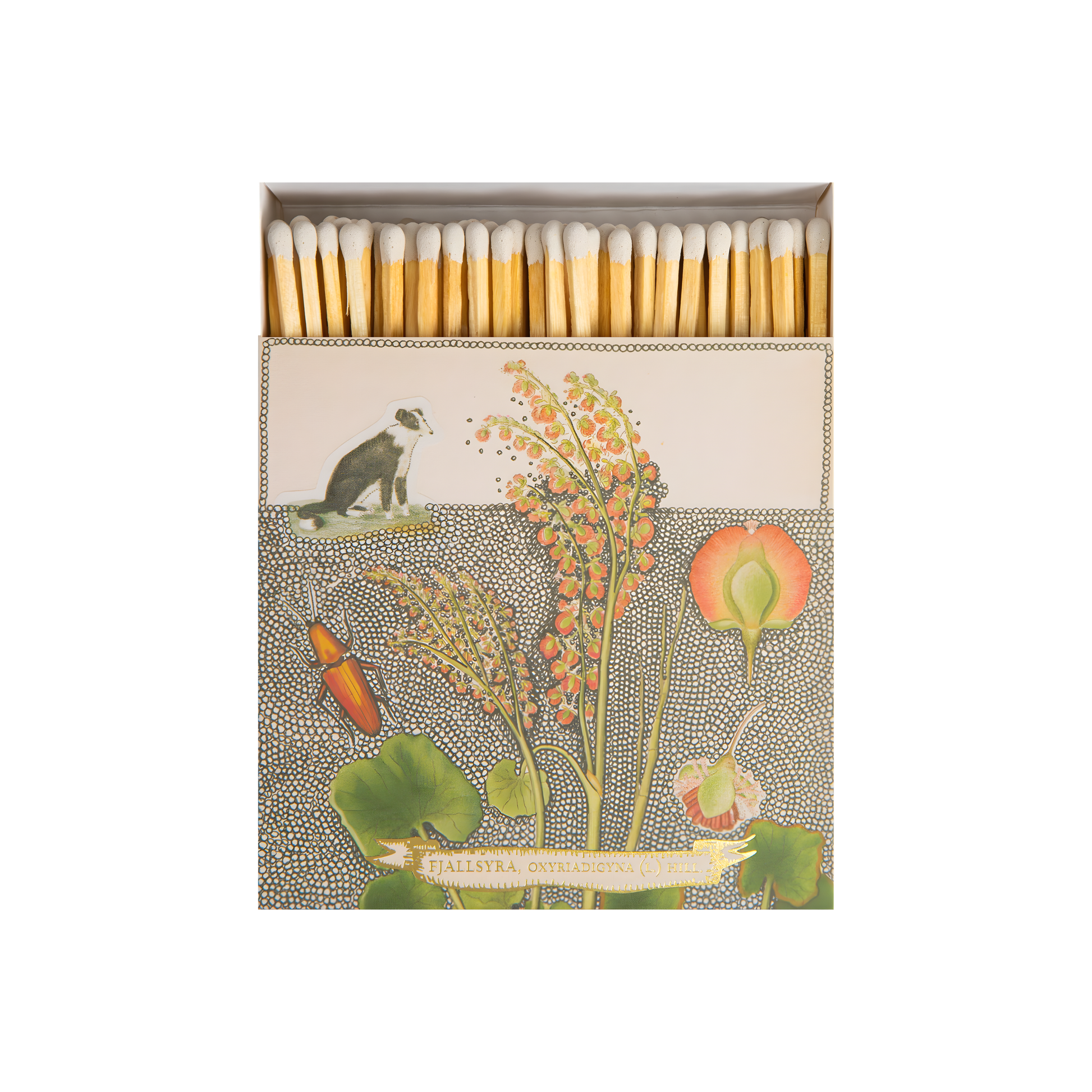Front view and open Archivist Luxury Matches Chien Botanical Drawing which features a green and orange floral illustration with a collie dog and gold foil detail by Florence Balducci. Contains 125 matches (100 mm, white tips). Litho printed in the UK with FSC-certified wood and wrapped in compostable cello-ideal for coffee tables, mantelpieces, or gifting.