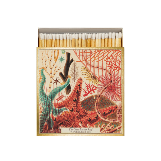 Front view of Archivist Great Barrier Reef Matches - Square Matchbox with Colourful Ocean and Sealife Design - 125 Natural White-Tipped Matches - FSC Wood, UK Litho Printed, Eco-Friendly Decorative Match Set