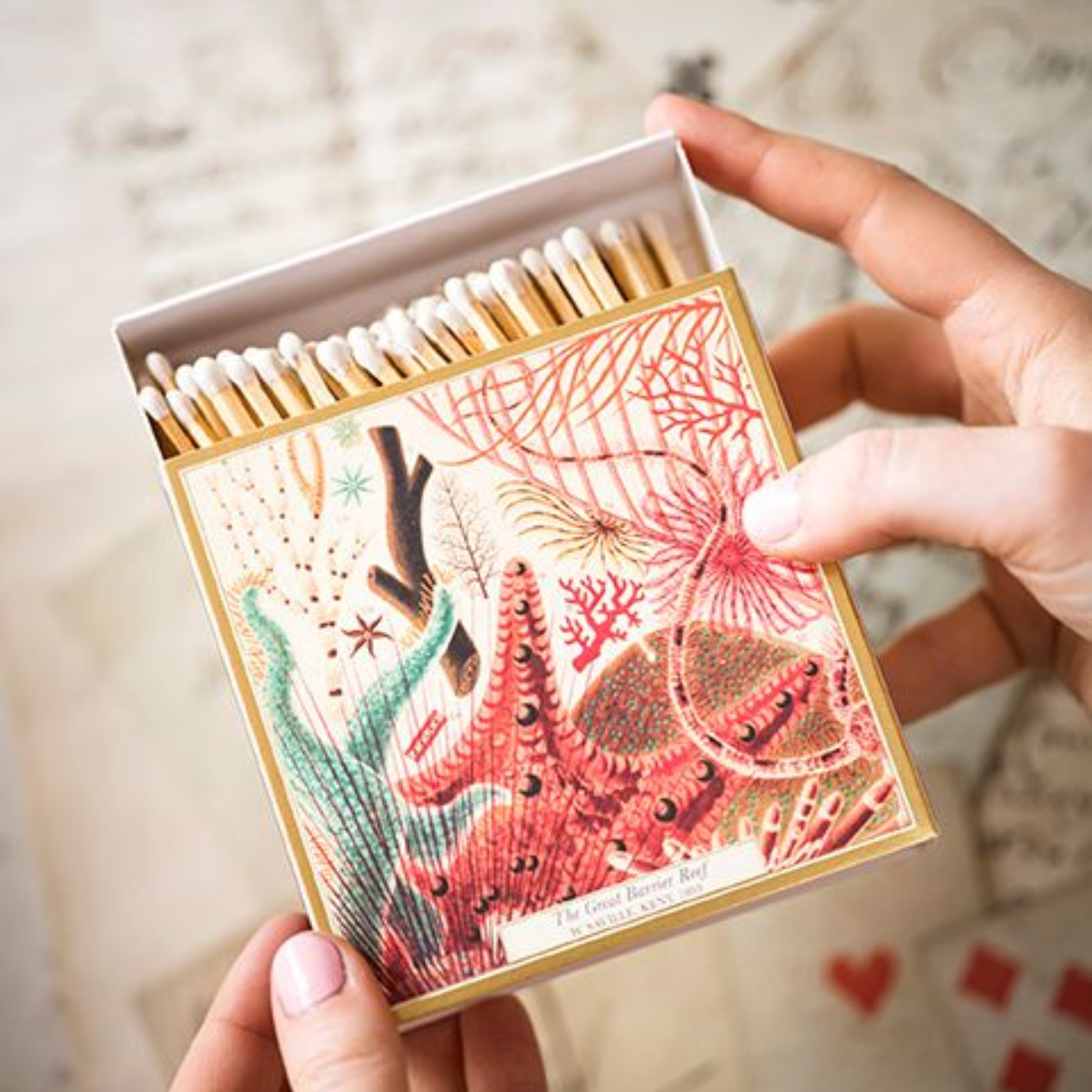 Open showing white tipped matches from Archivist Great Barrier Reef Matches - Square Matchbox with Colourful Ocean and Sealife Design - 125 Natural White-Tipped Matches - FSC Wood, UK Litho Printed, Eco-Friendly Decorative Match Set