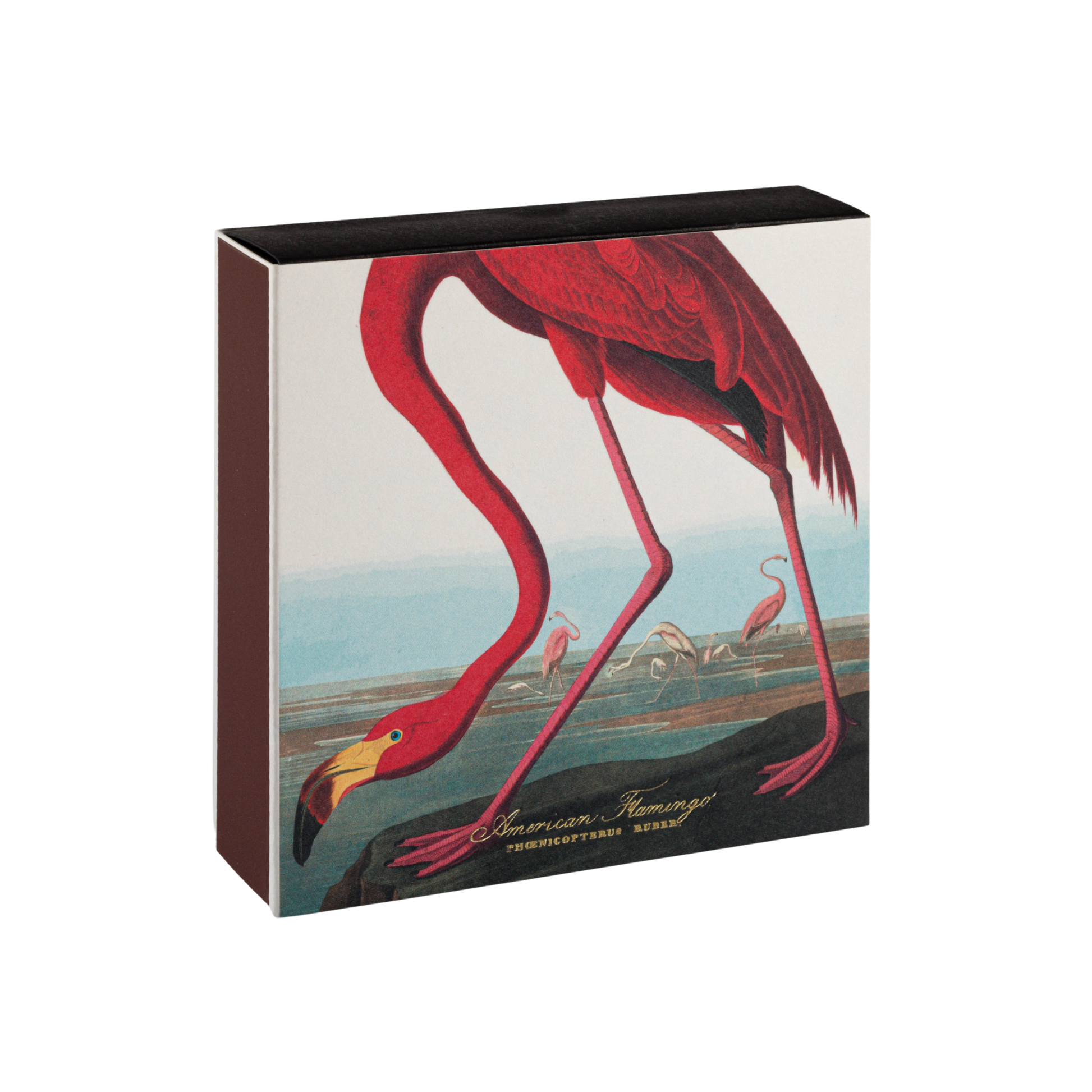 Luxury matches the american flamingo matches front angled view