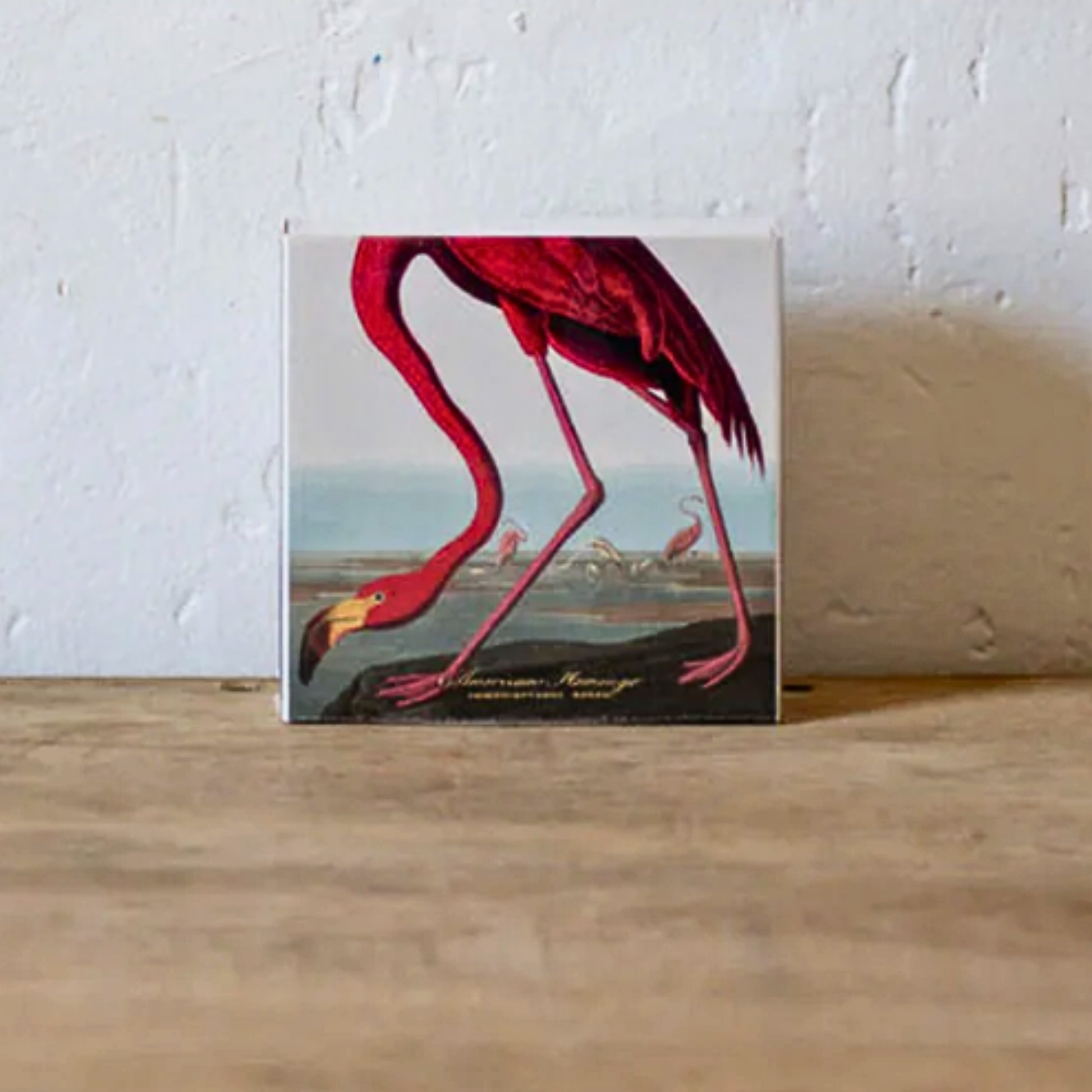 Close up of american flamingo matches on wooden table